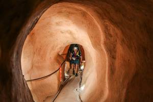 BIB: 
                            <button type="button" onclick="openModal(26241938)" class="btn btn-primary btn-sm float-right btn-popup" data-toggle="modal" data-target=".modal-high-quality">
                        <i class="fas fa-shopping-cart"></i> Add to Cart
                    </button>
                                            <button type="button" onclick="isThisMe(26241938, true)" class="btn btn-success btn-sm float-right btn-popup btn-isme hidden" data-toggle="tooltip" data-placement="bottom" title="นี่คือรูปของคุณใช่ไหม คลิกที่นี่เพื่อเอาเข้าอัลบั้ม">
                        <i class="fas fa-plus"></i> Add to album
                    </button>
                    <button type="button" onclick="isThisMe(26241938, false)" class="btn btn-warning btn-sm float-right btn-popup btn-isnotme hidden">
                        <i class="fas fa-ban"></i> Remove from album
                    </button>